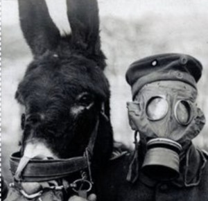 LES ANIMAUX ET LA GUERRE