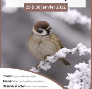 Week-end national de comptage des oiseaux des jardins les 29 & 30 janvier 2022