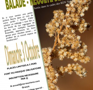RDV Nature: Balade - Récolte des graines
