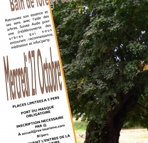 Bain de forêt, l'essence de la vie en eveil