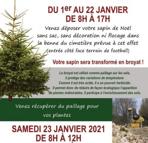 Recyclez vos sapins de Noël !